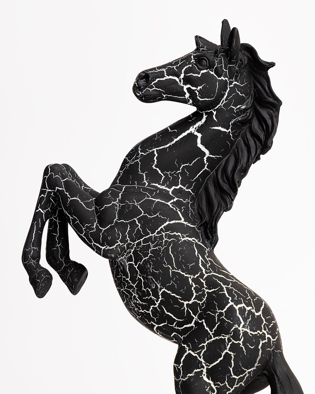 Trojan Horse