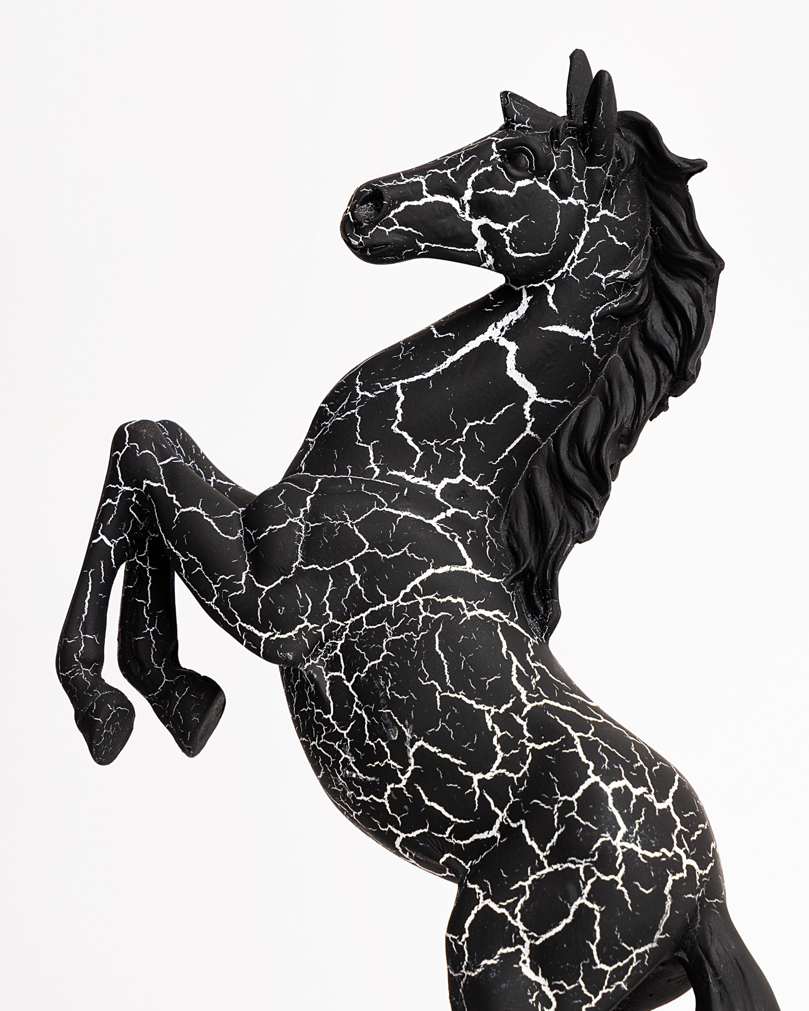Trojan Horse