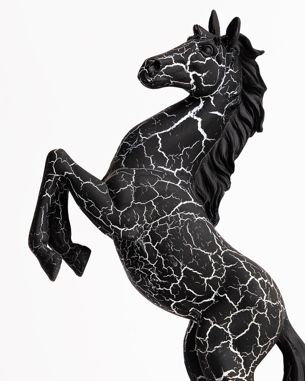 Trojan Horse