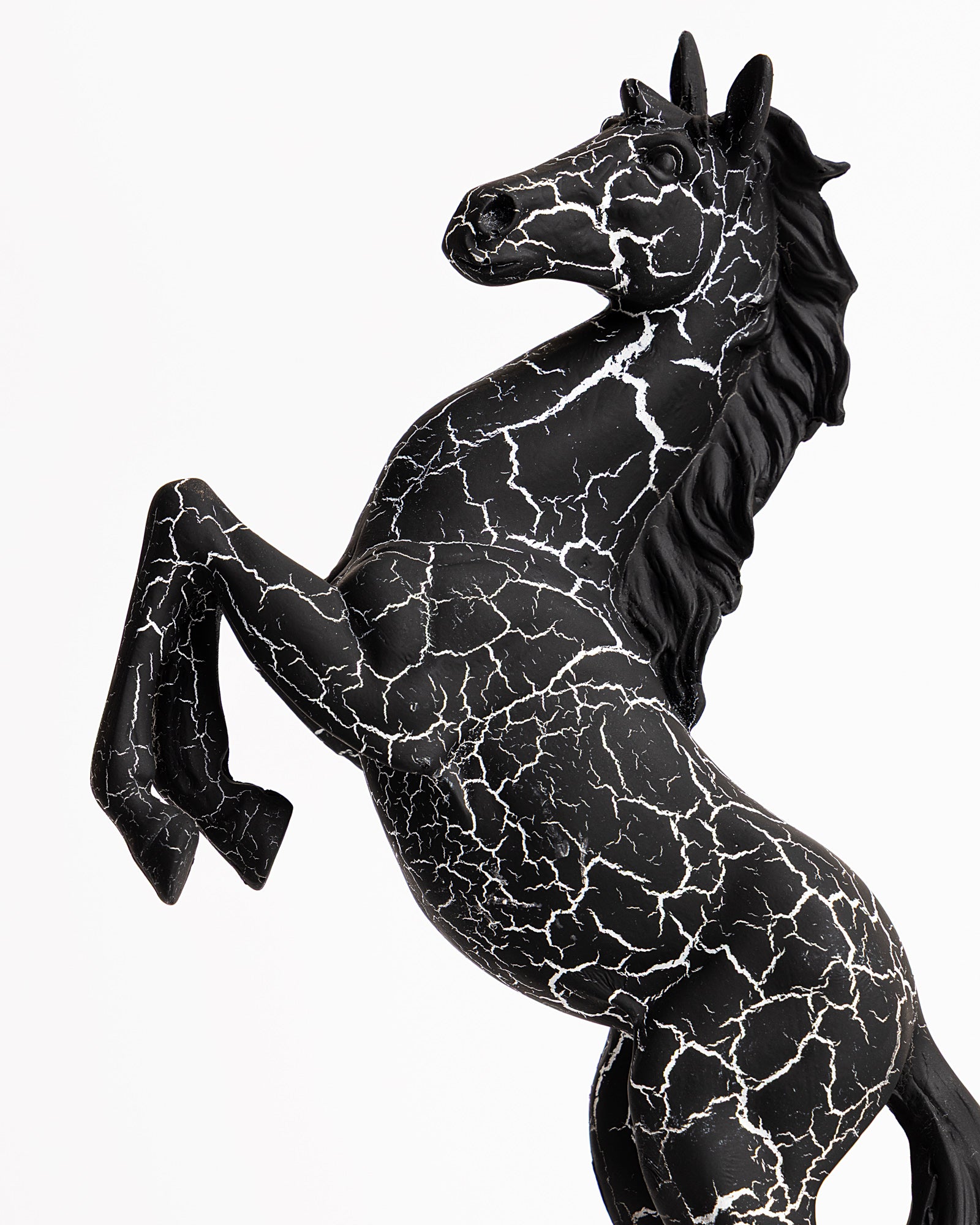 Trojan Horse