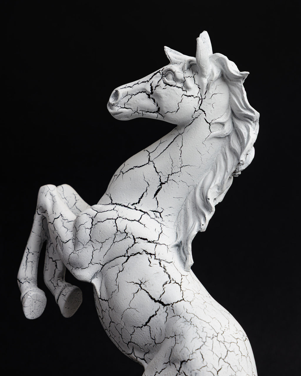 Trojan Horse