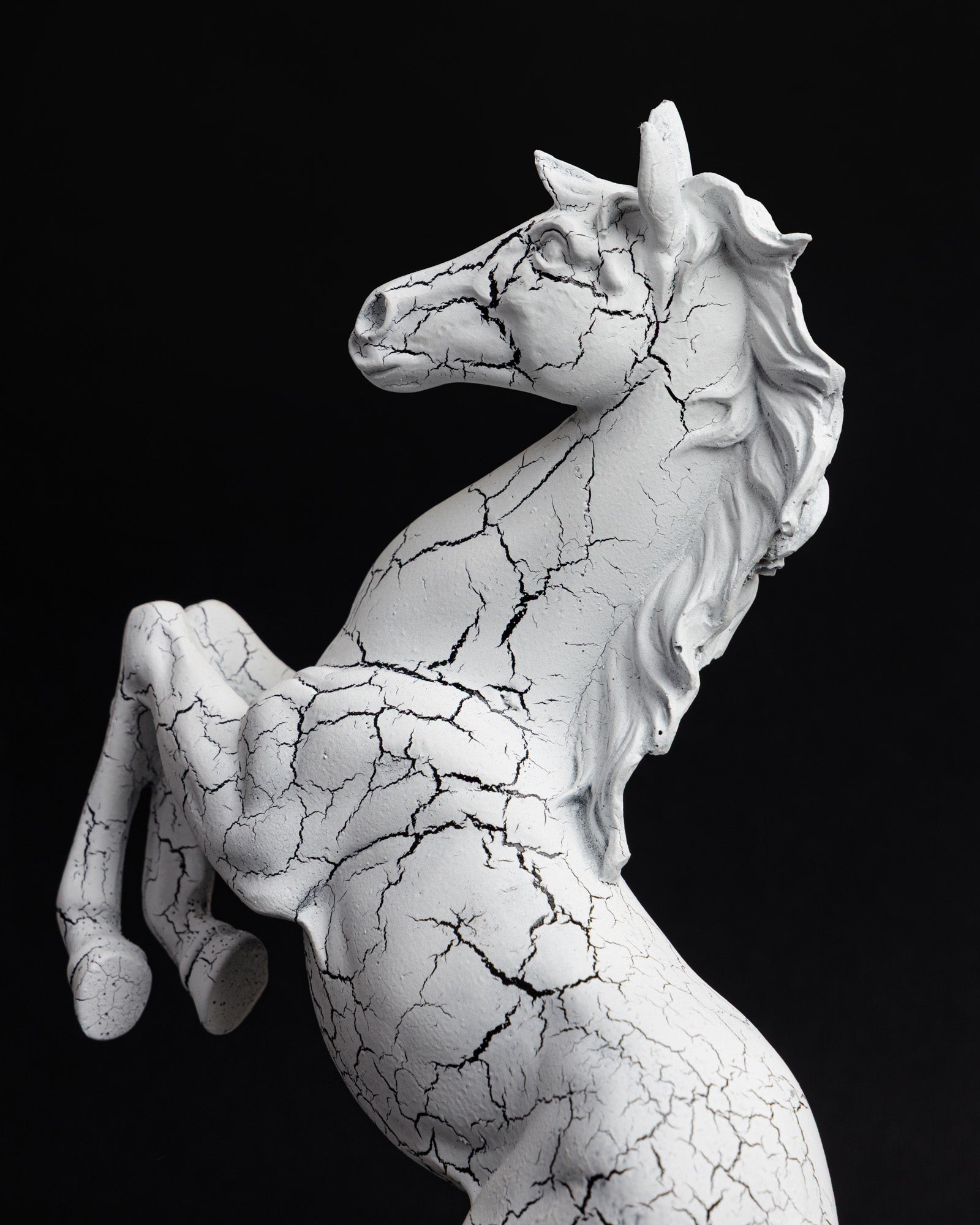 Trojan Horse