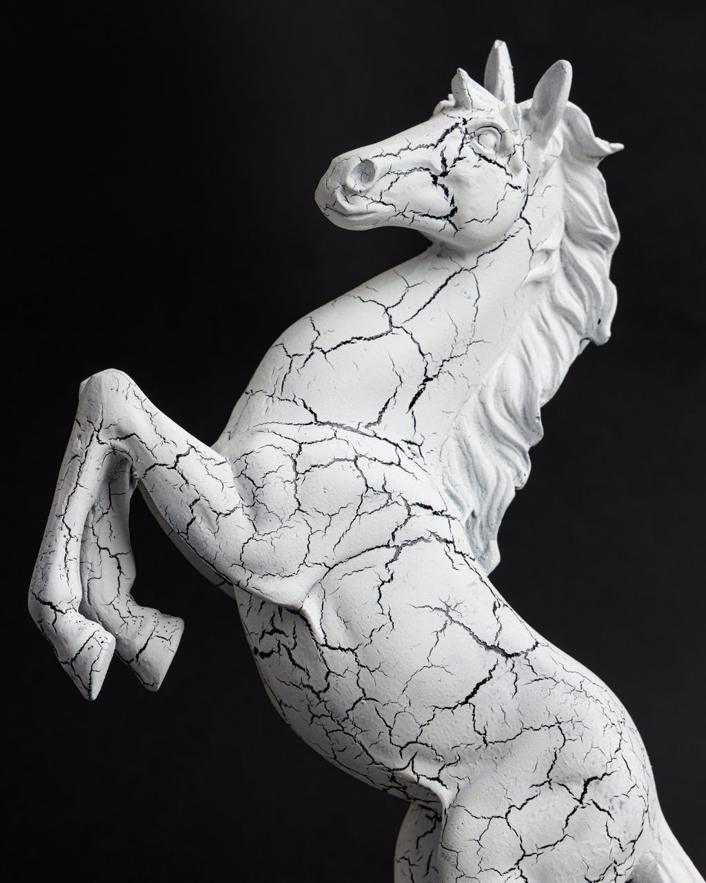 Trojan Horse
