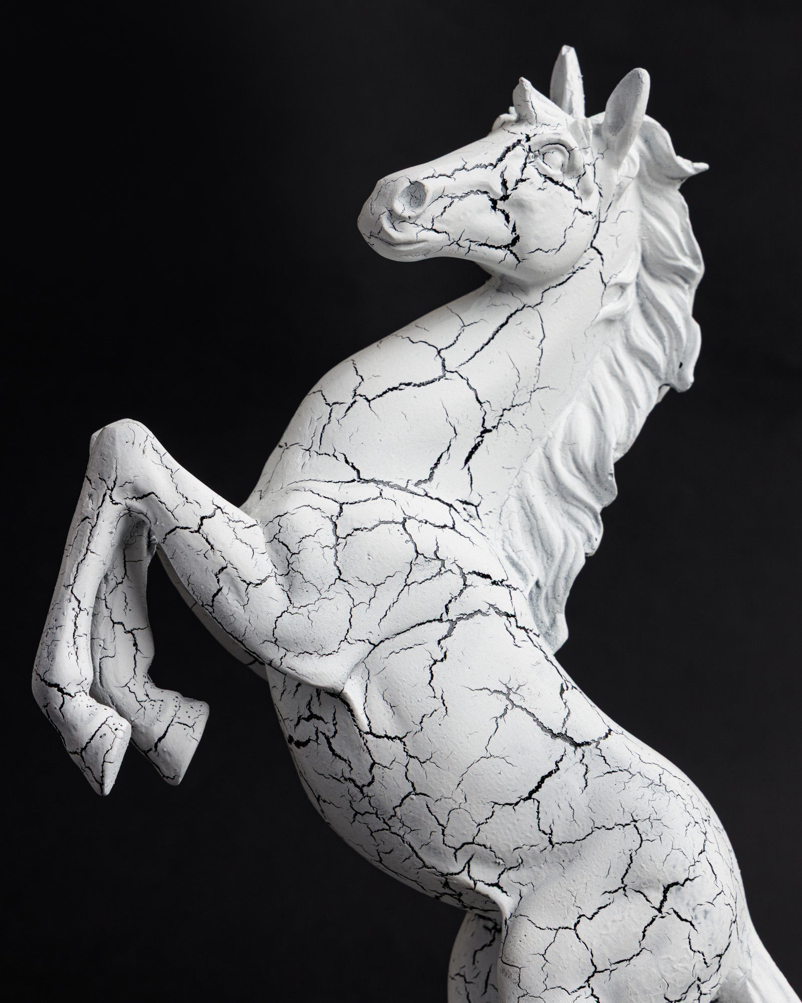 Trojan Horse