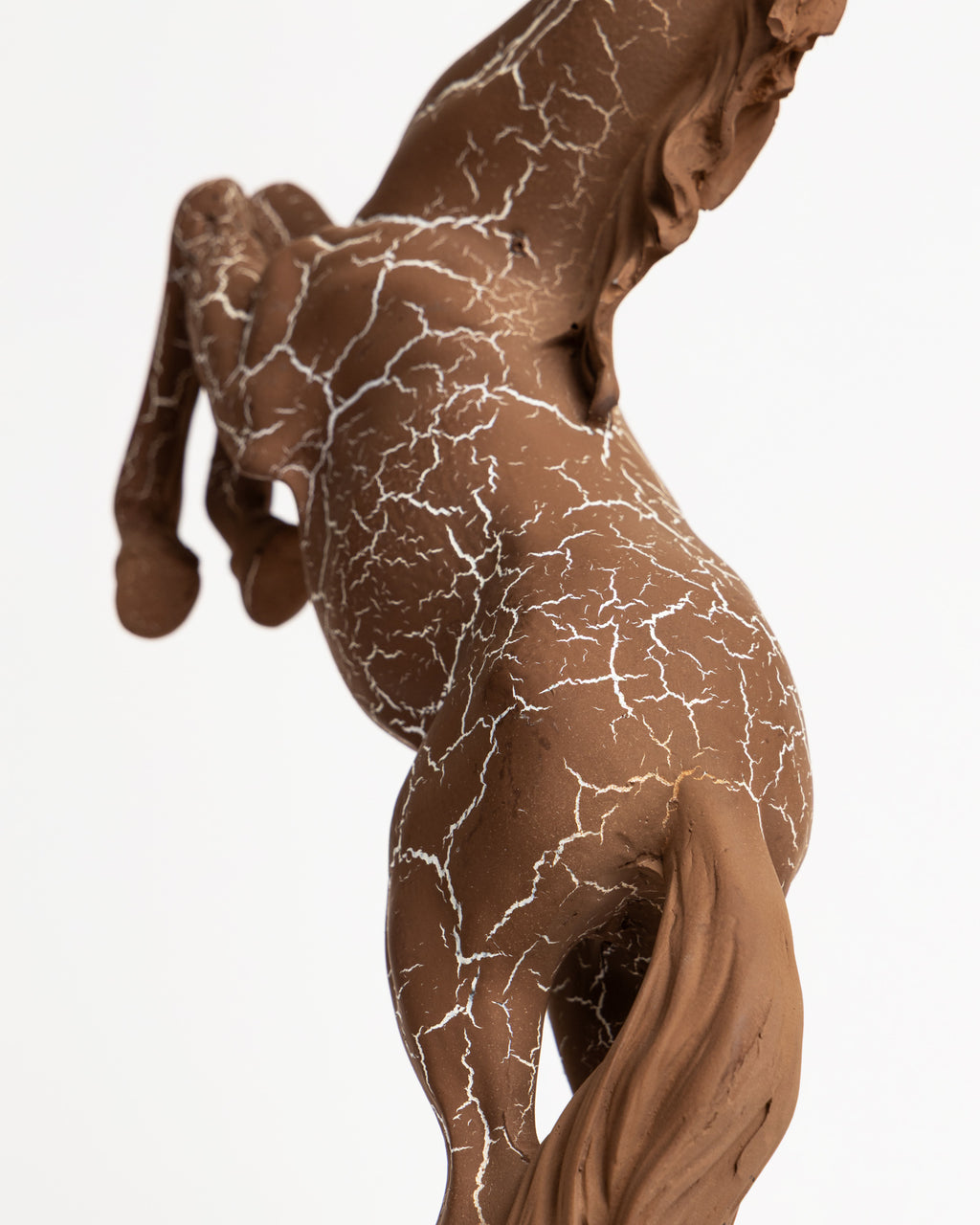 Trojan Horse