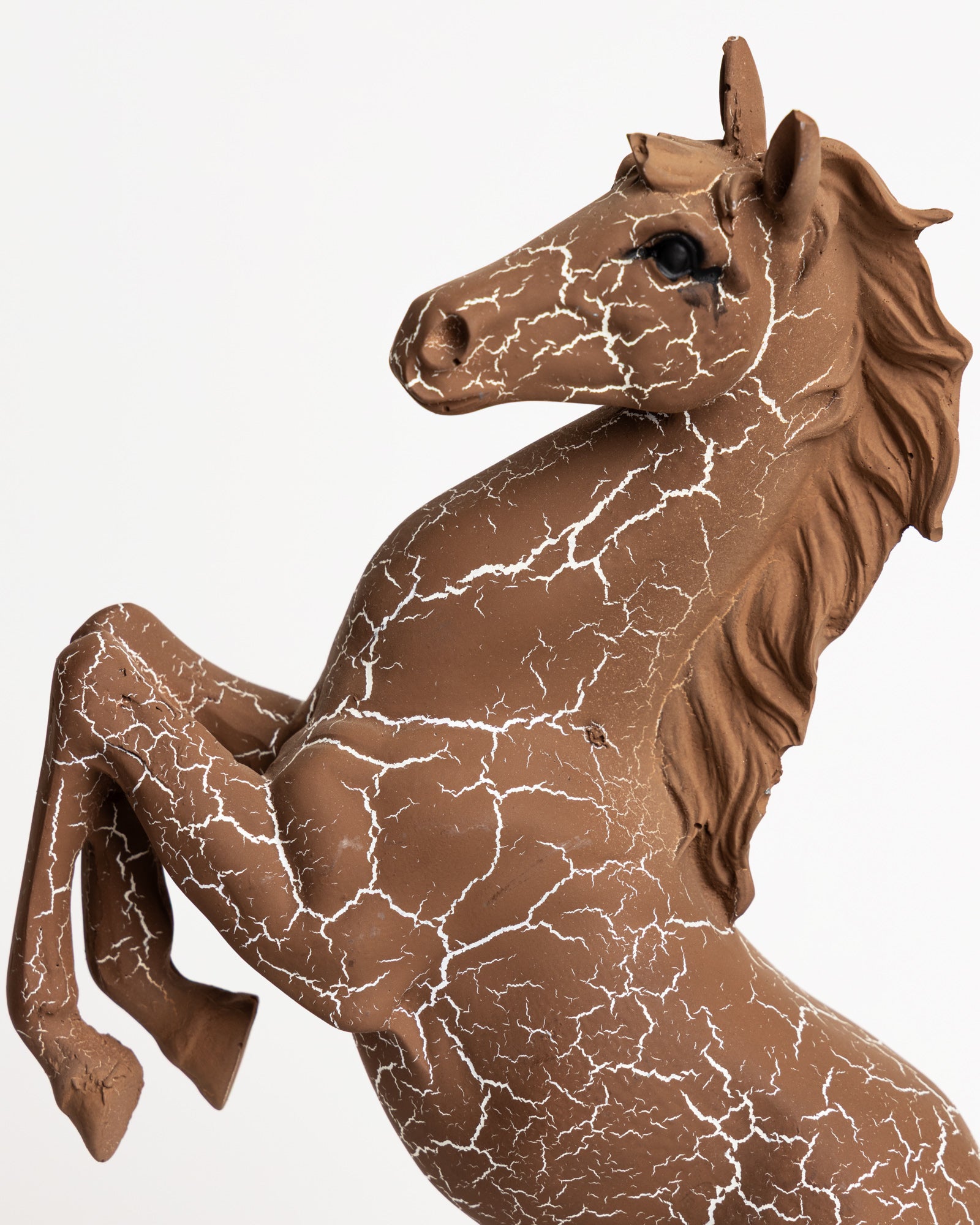 Trojan Horse