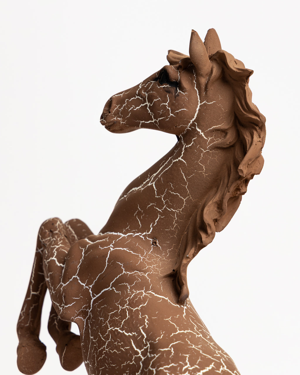 Trojan Horse