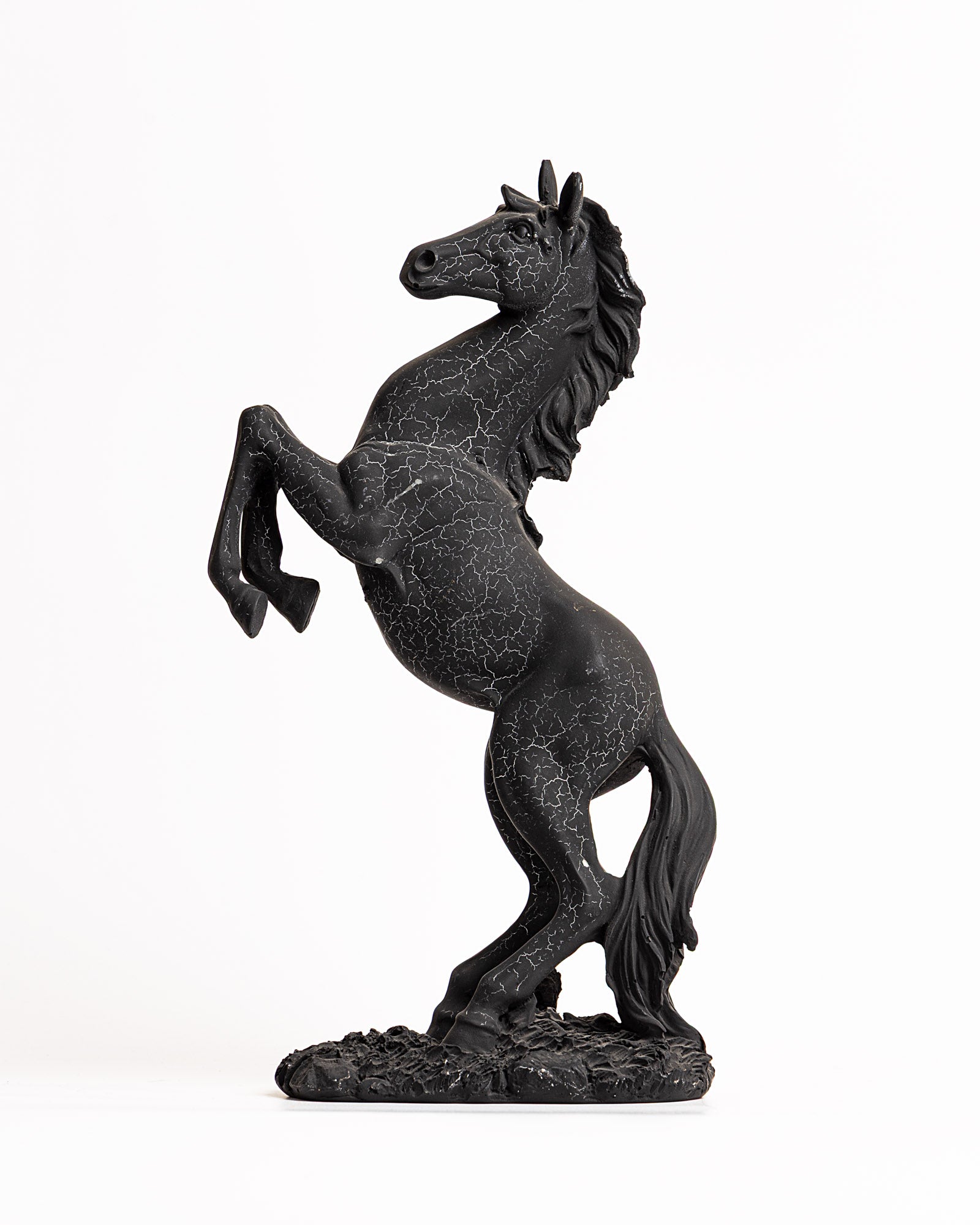 Trojan Horse