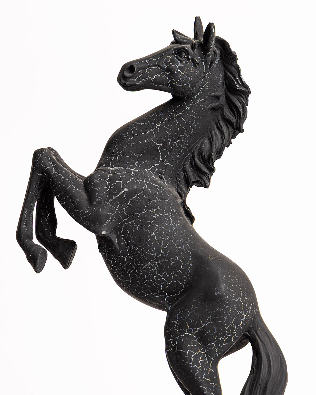 Trojan Horse