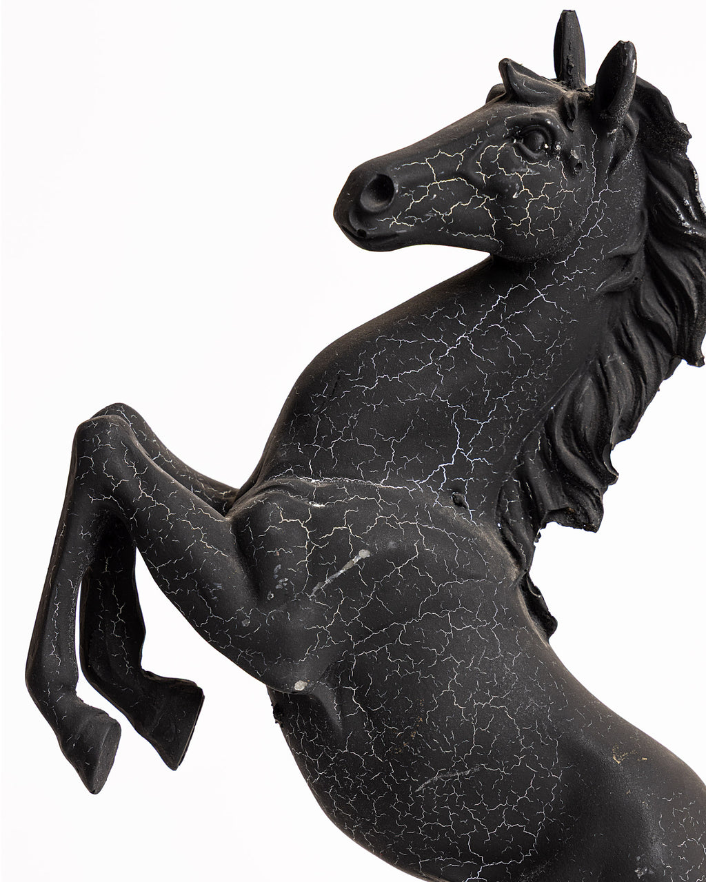 Trojan Horse