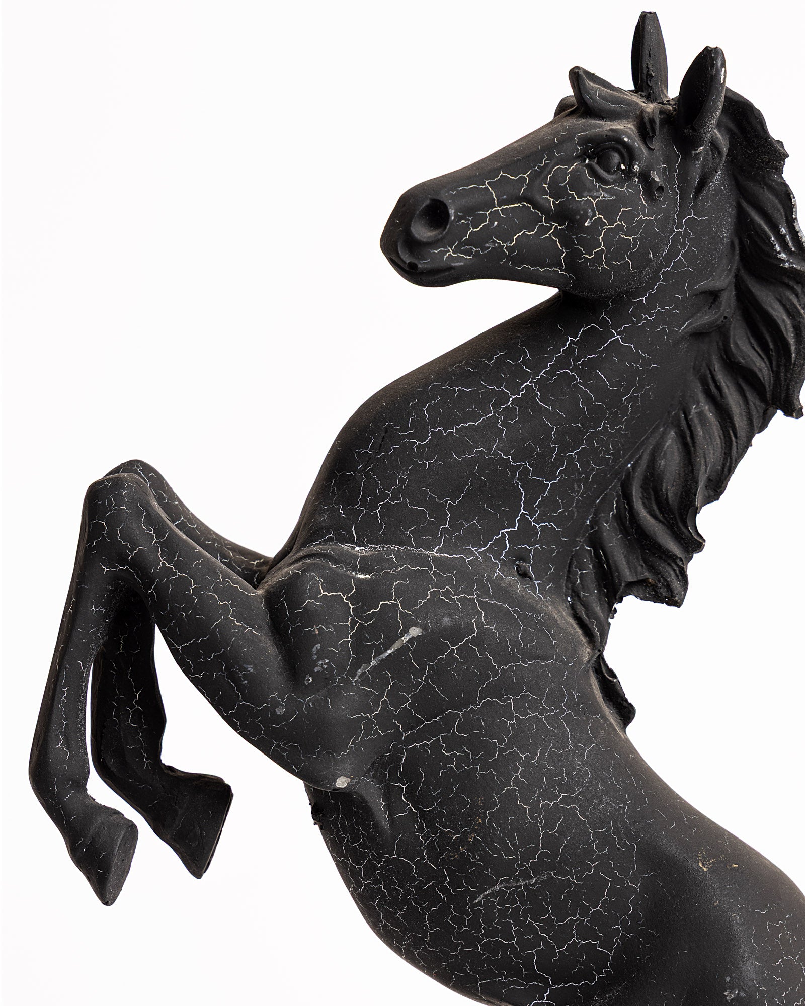Trojan Horse