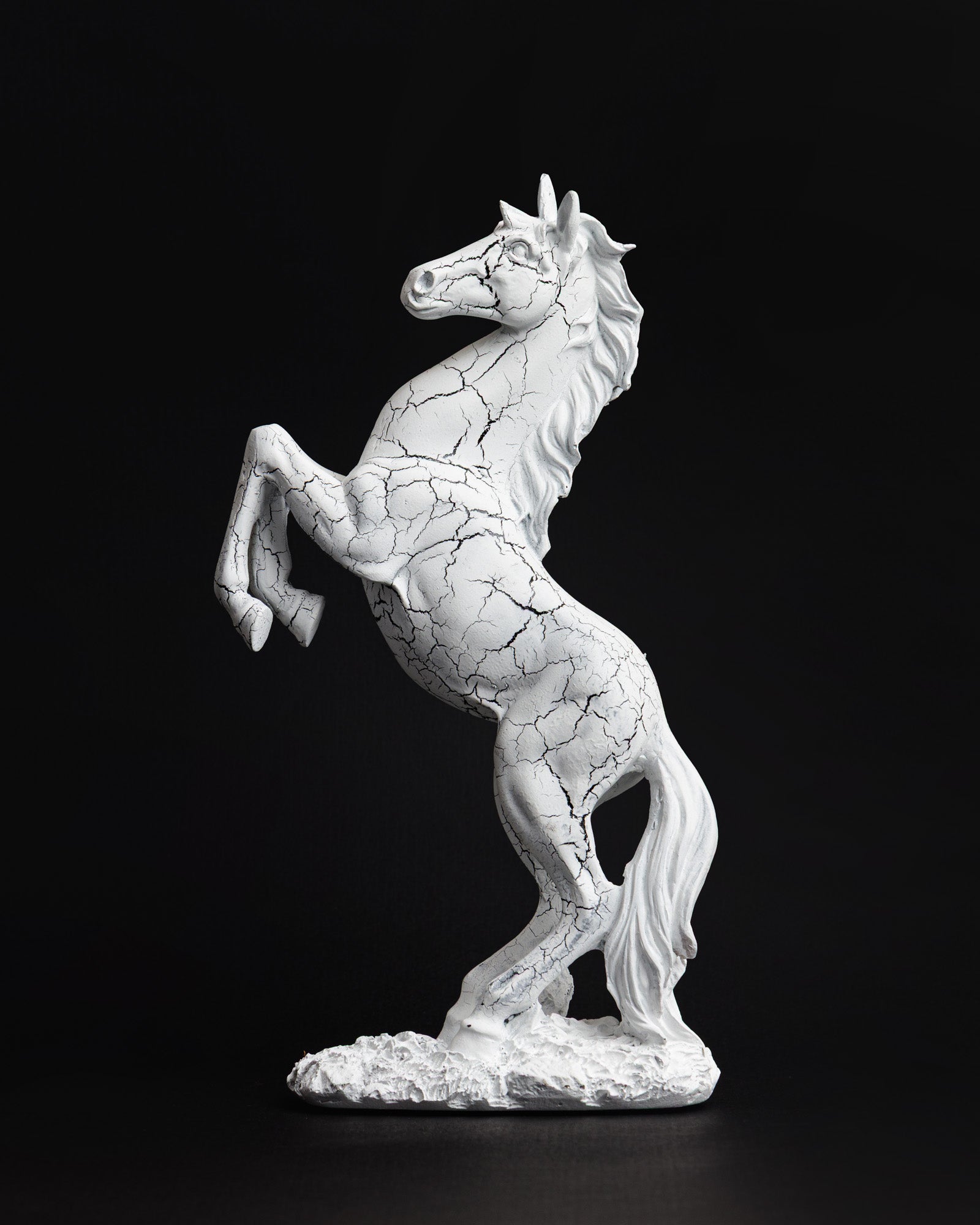 Trojan Horse